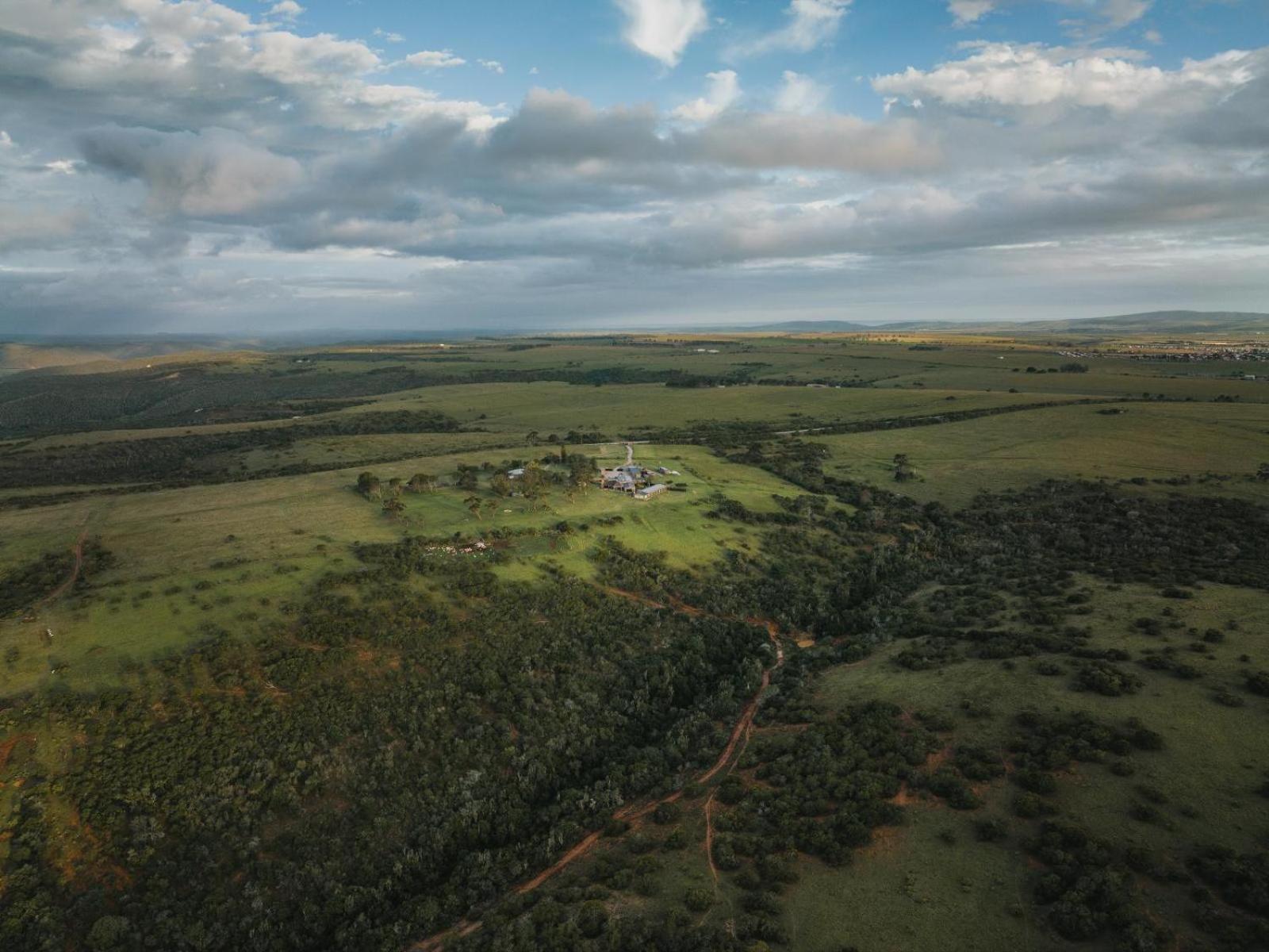 Umbono Private Game Lodge Alexandria  Ngoại thất bức ảnh